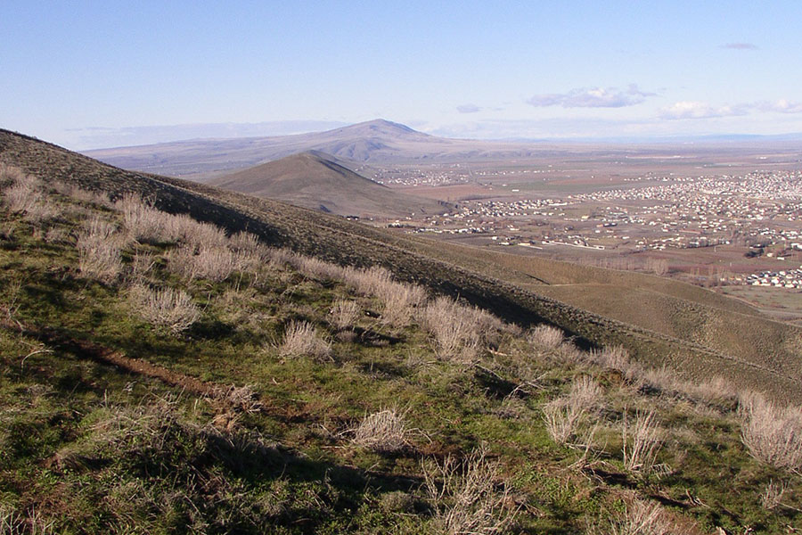 Badger Mountain Preserve